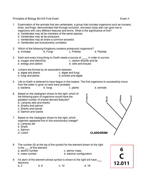 Final EXAM ( Major) .